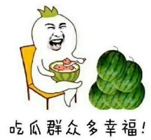 爱娱乐的吃瓜,揭秘明星幕后故事